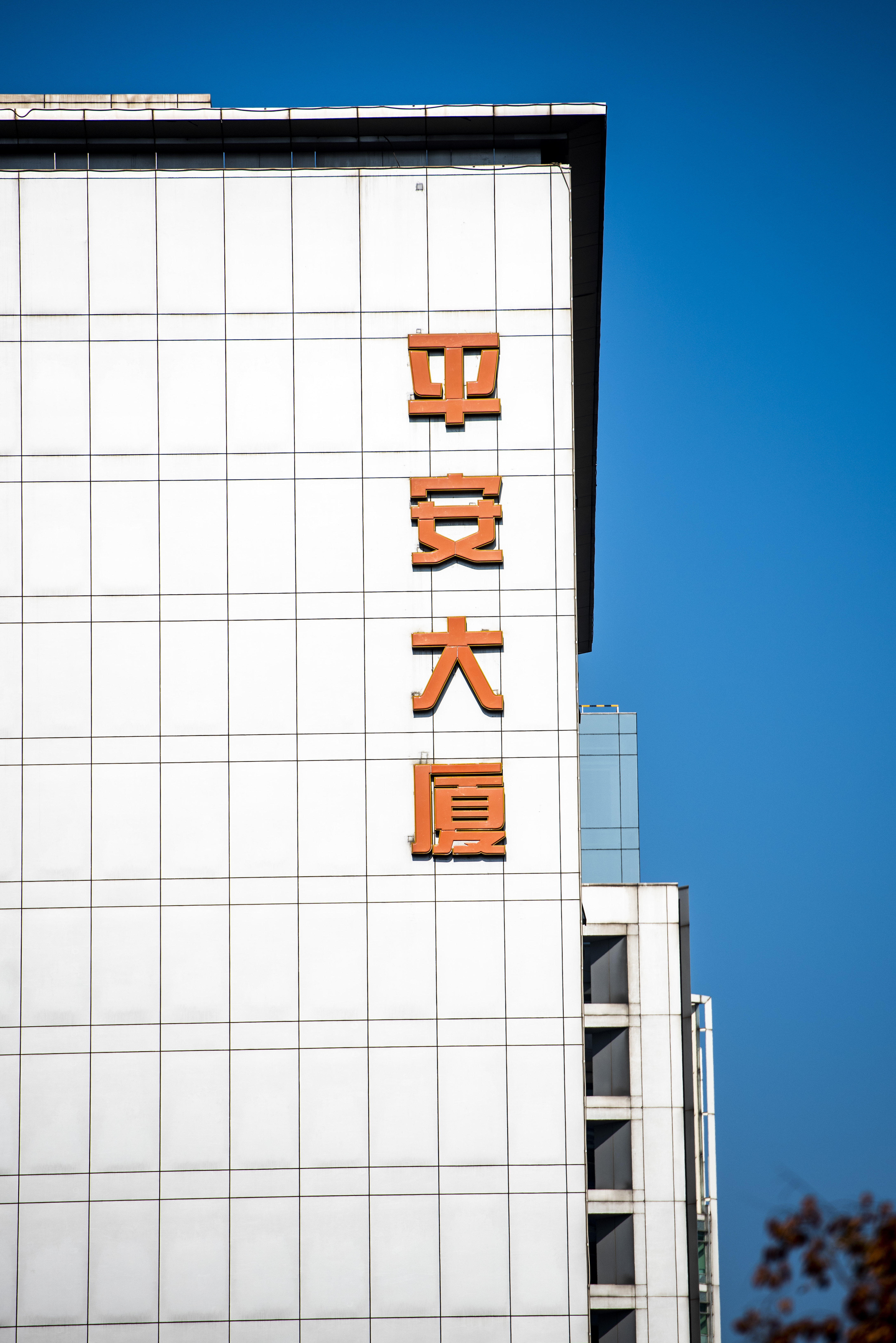 1593328608165608.jpg 平安大厦.JPG
